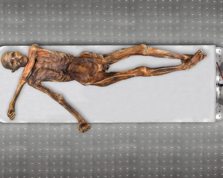 Neolithic Tyrolean Iceman “Ötzi”