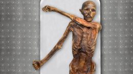 Neolithic Tyrolean Iceman “Ötzi” Crop
