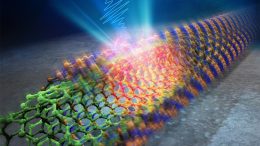 Nested Structure of Carbon Nanotubes Enveloped in Boron Nitride Nanotubes Under Photoexcitation