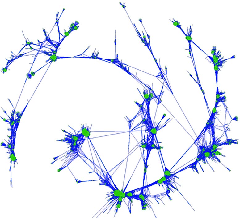 Network Depicting Correlations Between Genes in a Population