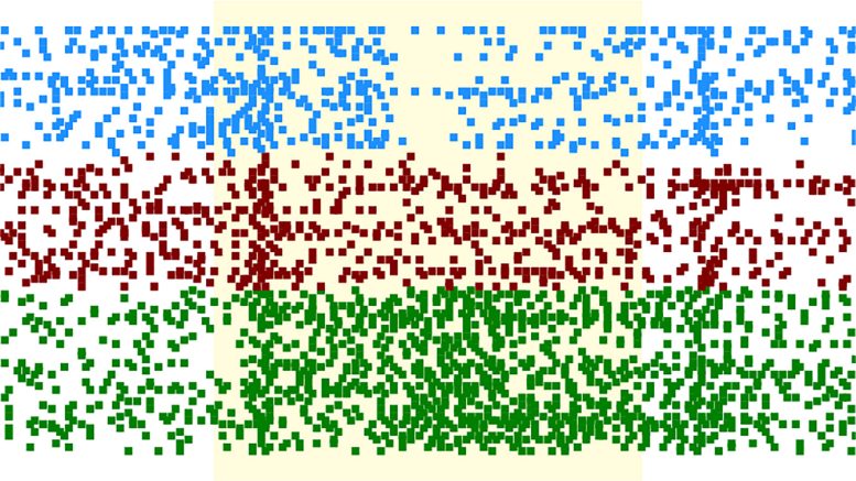 Neural Circuit Models of Visual Processing