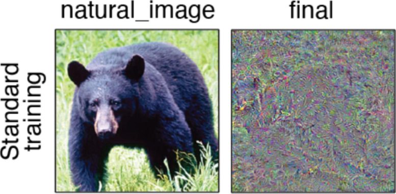 Neural Network Comparison Images