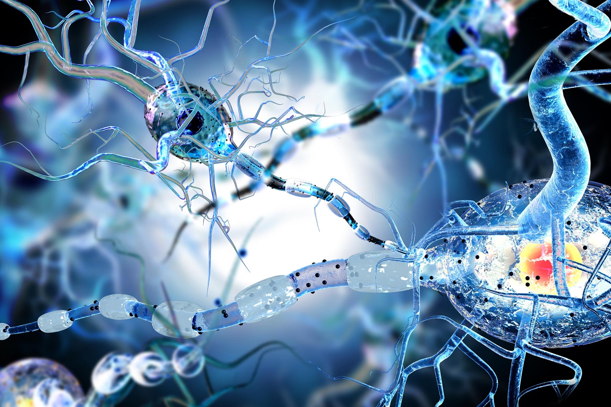 Scientists Discover How Multiple Sclerosis Kills Brain Cells - SciTechDaily