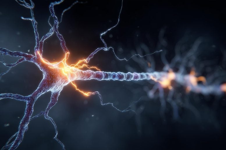 Scientists Freeze Brain Activity Mid-Message and Reveal Hidden Signals