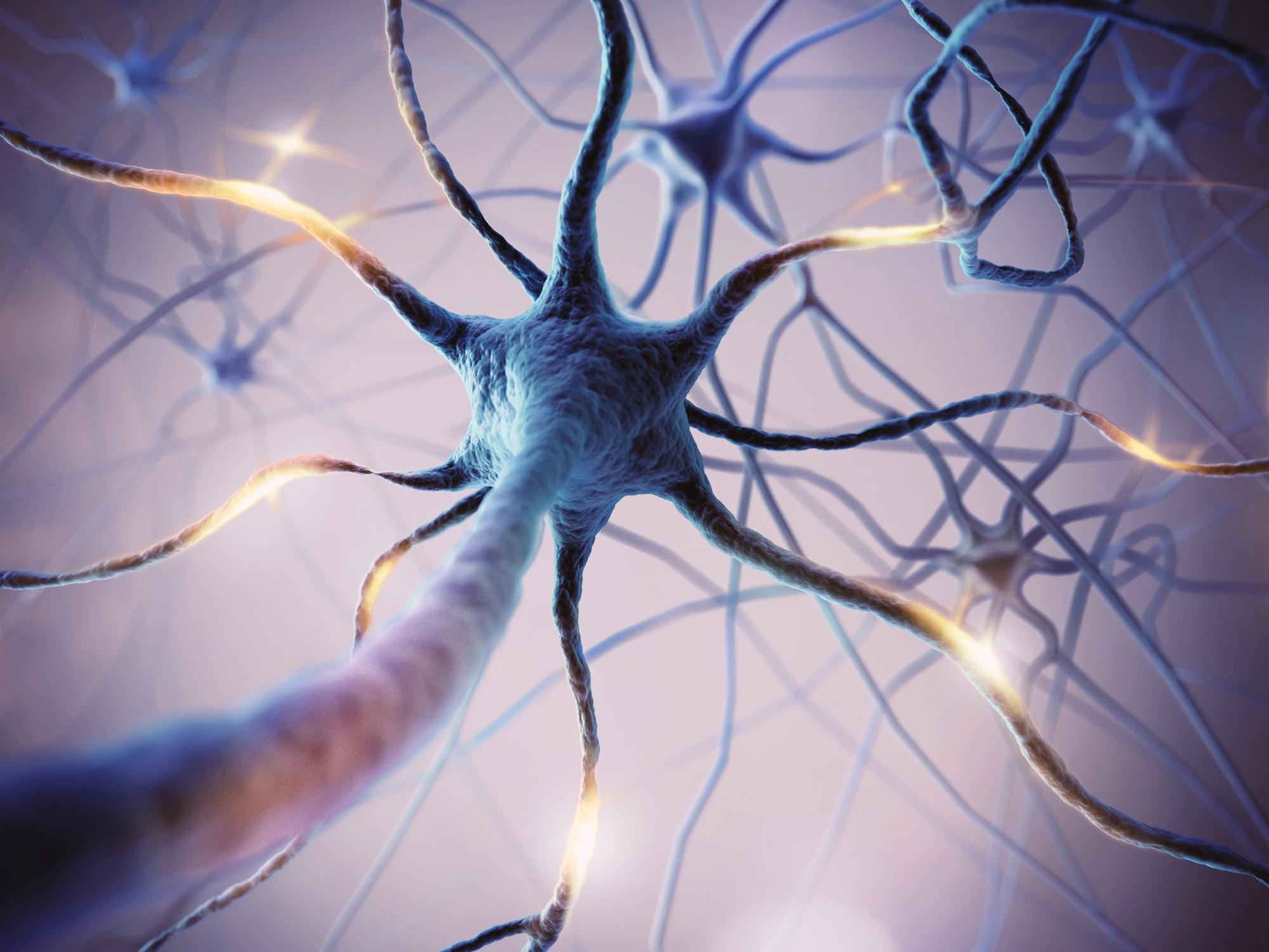 Giganti “super neuroni” scoperti nel cervello di SuperAger