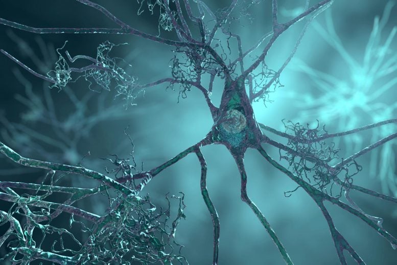 Scientists Discover Hidden “Gatekeeper” Inside Brain Cells Linked to Alzheimer’s