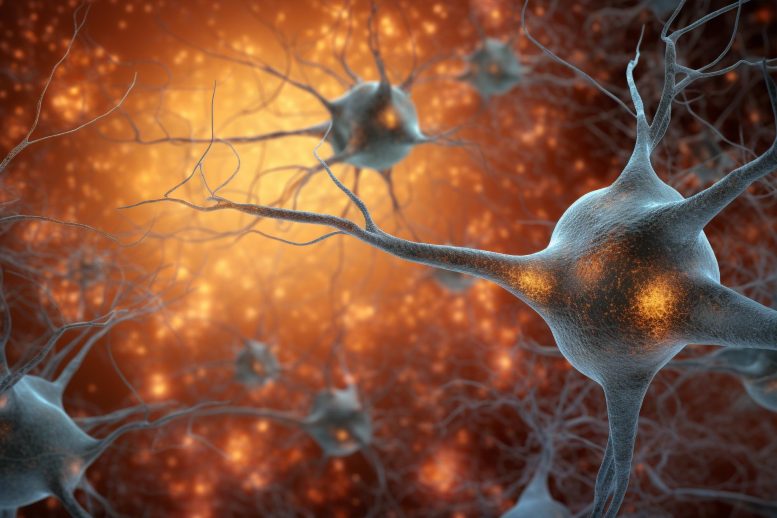 Neurons Alzheimer's Disease Art