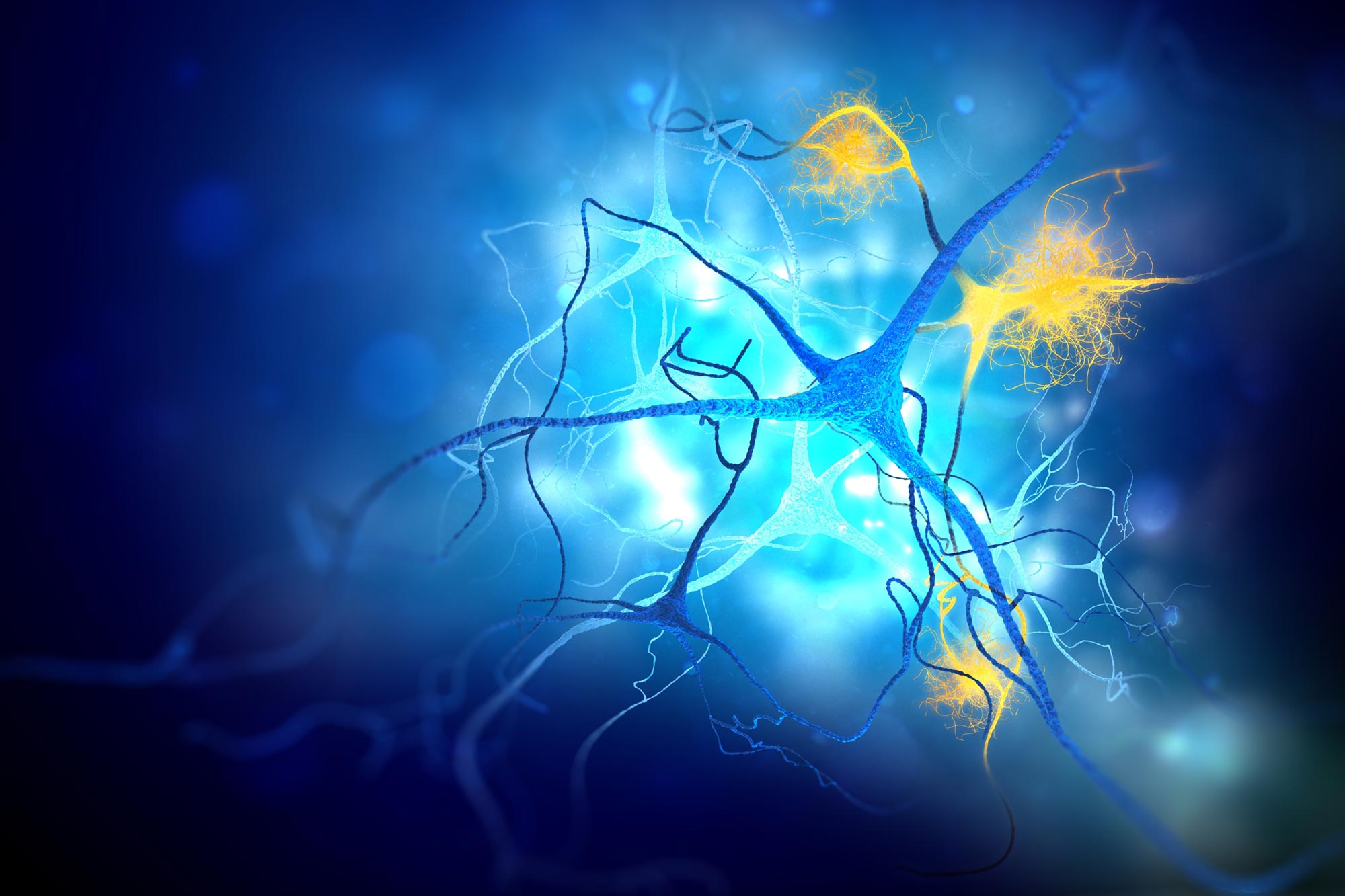 Scientists Discover Method To Erase Toxic Tau From Human Neurons