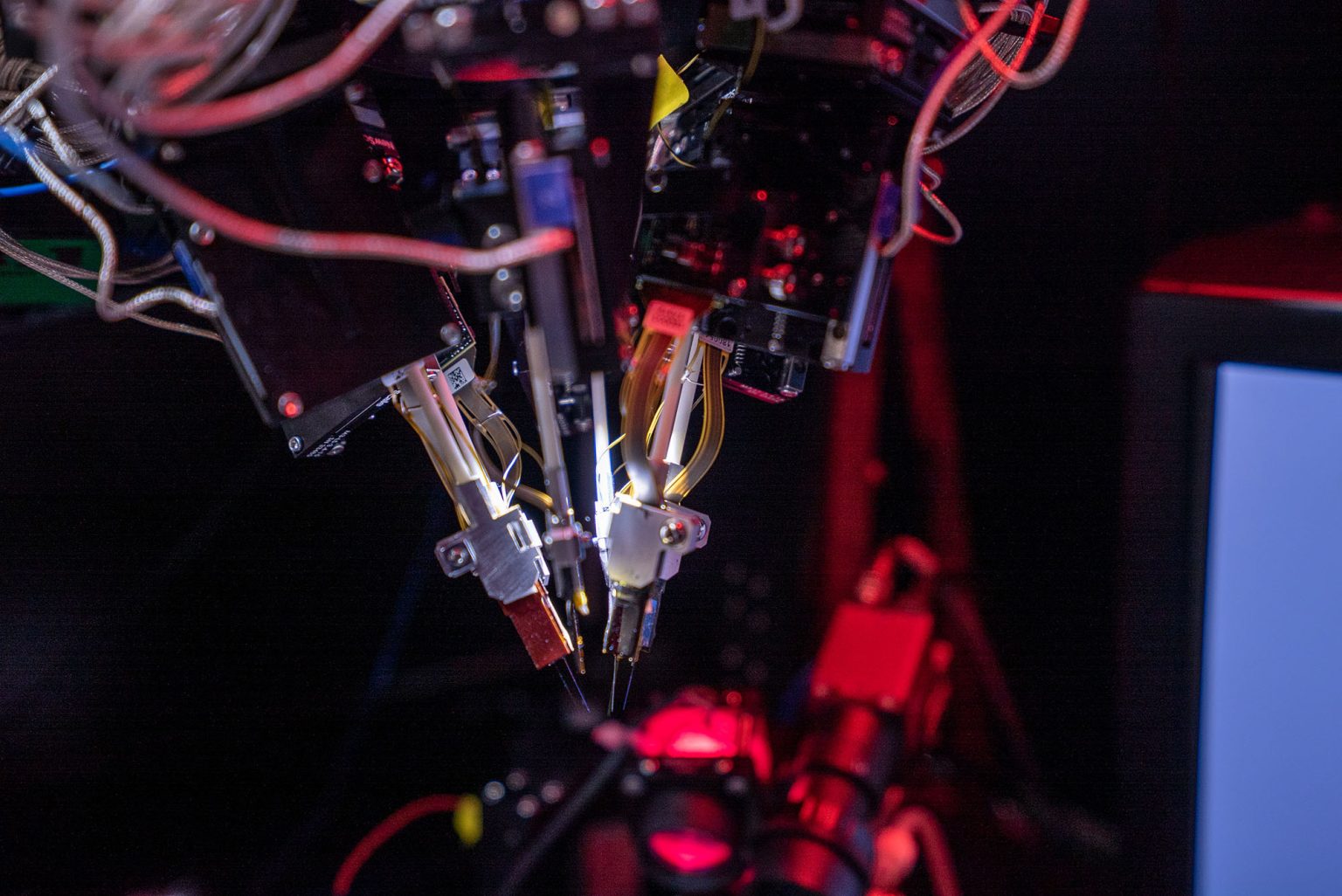 New Projects Aim To Pioneer the Future of Neuroscience