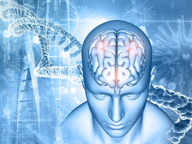 Neuroscience Brain DNA Infection Illustration