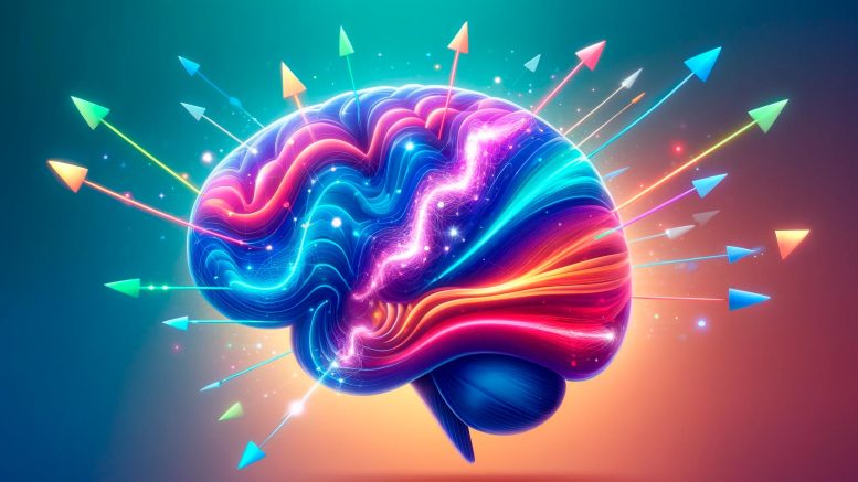 Neuroscience Brain Decision Making Art Concept