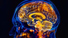 Neuroscience Brain Glow Concept