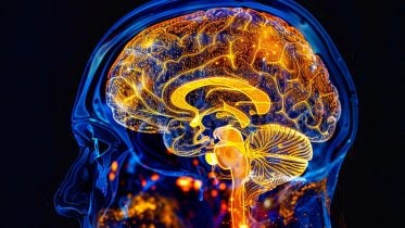 MIT’s New MRI Technique Reveals Hidden Light Deep in the Brain