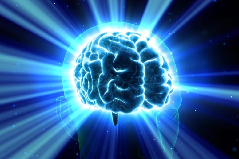 Scientists Reverse Brain Aging With Simple Nasal Spray