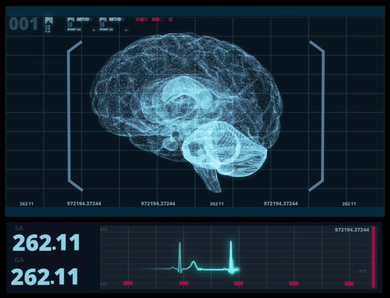 Neuroscience Brain Scan Artificial Intelligence Smart Technology
