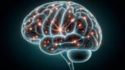 Neuroscience Brain Signals Cognition Art