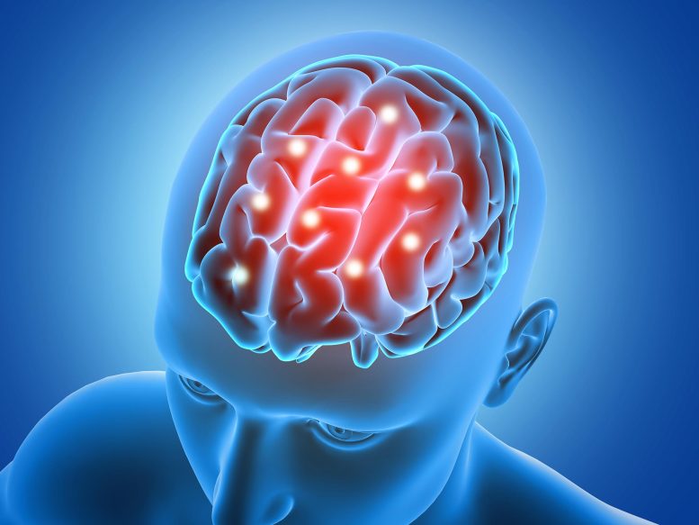 Neuroscience Brain Signals Concept