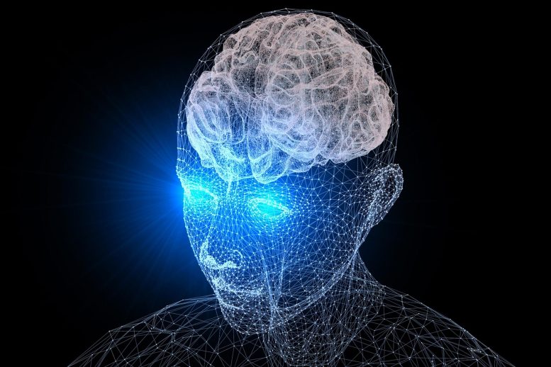 Neuroscience Brain Vision Concept