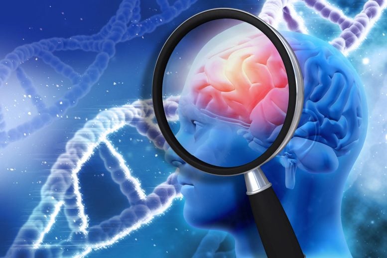Neuroscience Magnifying Glass Brain Alzheimers Research