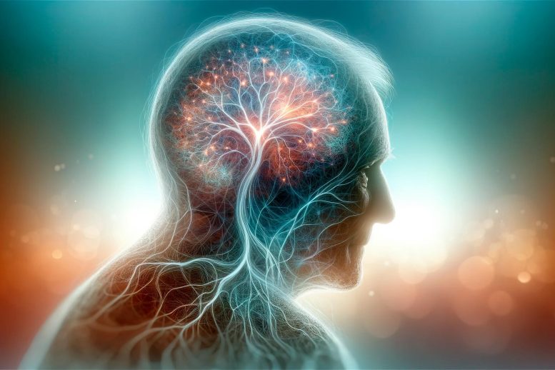 Neuroscience Senior Man Brain Connections