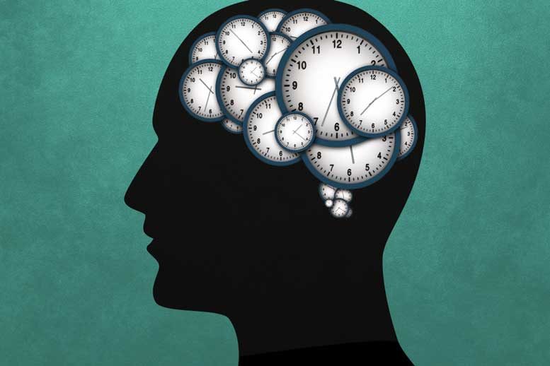 Neuroscientists Discover Networks of Neurons That Compress Their Activity to Control Timing