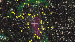 Neutral Hydrogen Gas in Galaxy Clusters