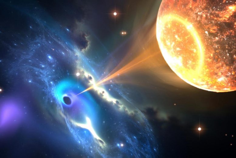Neutron Star Black Hole