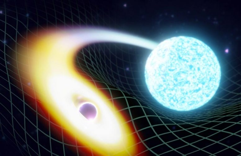 Neutron Star Black Hole Binary Merger