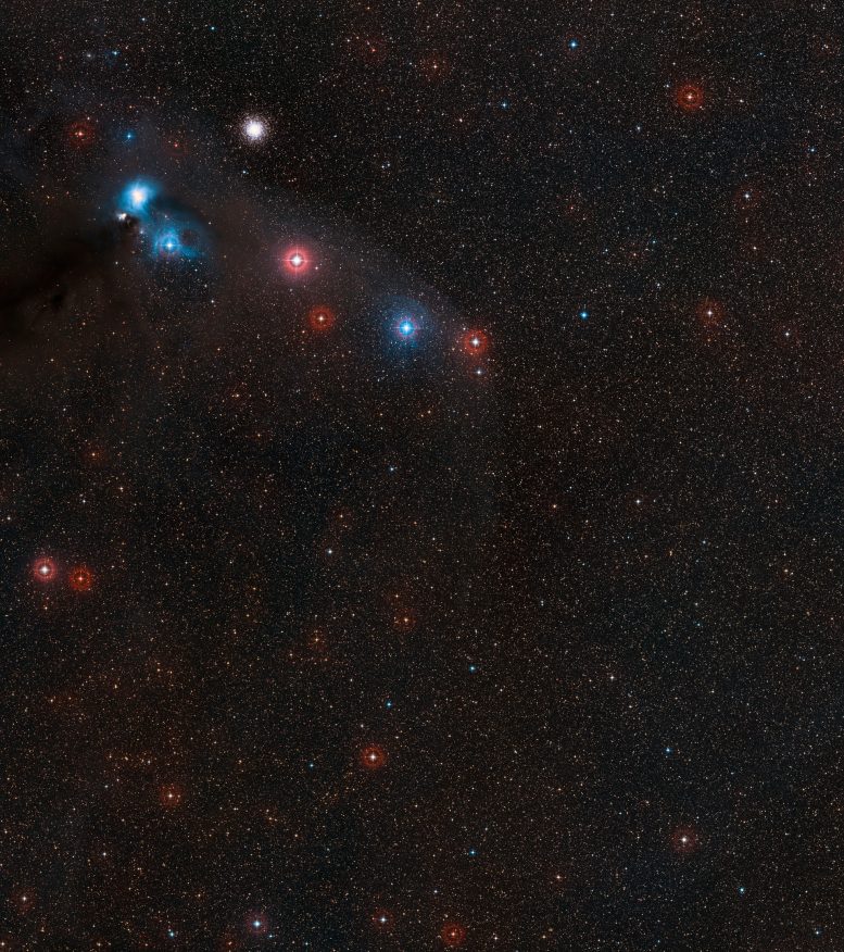 Neutron Star RX J1856.5-3754