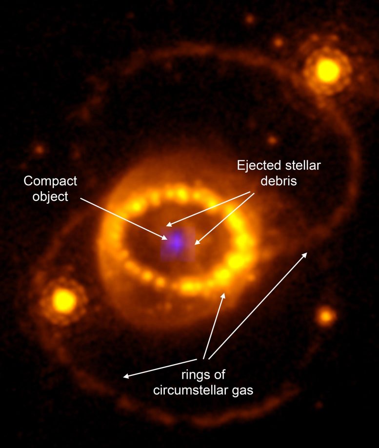 Neutron Star in Iconic Supernova Annotated