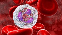 Neutrophil White Blood Cell Illustration