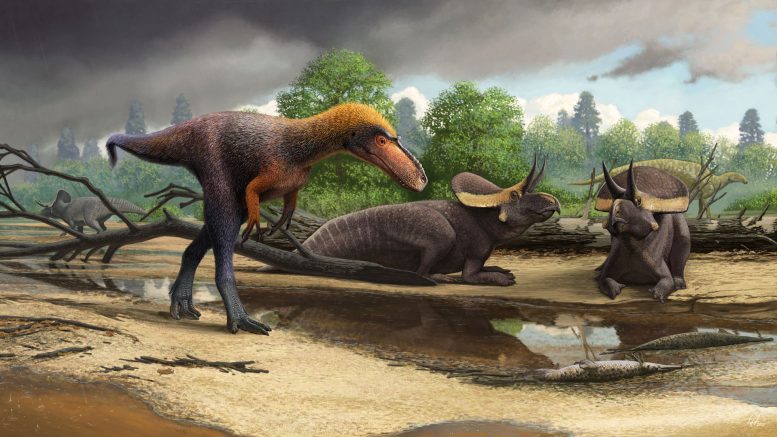 New 3 Foot Tall Relative of Tyrannosaurus Rex