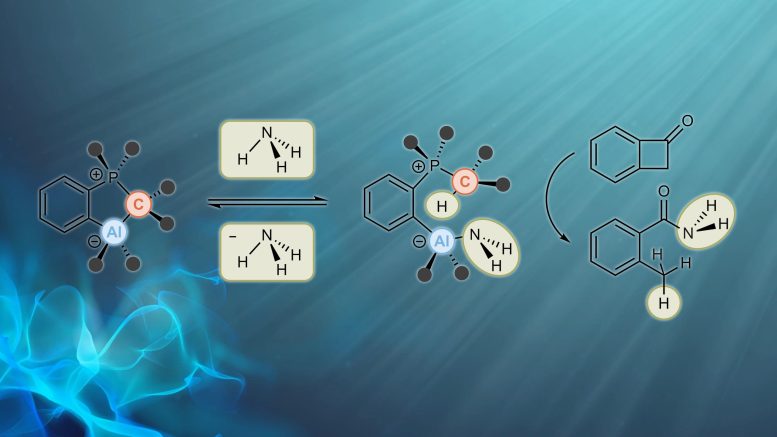 New Ammonia Reaction Might Be Used As a Sustainable Source of Nitrogen