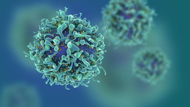 New Approach Targets Cancer Without Destroying Healthy T-Cells