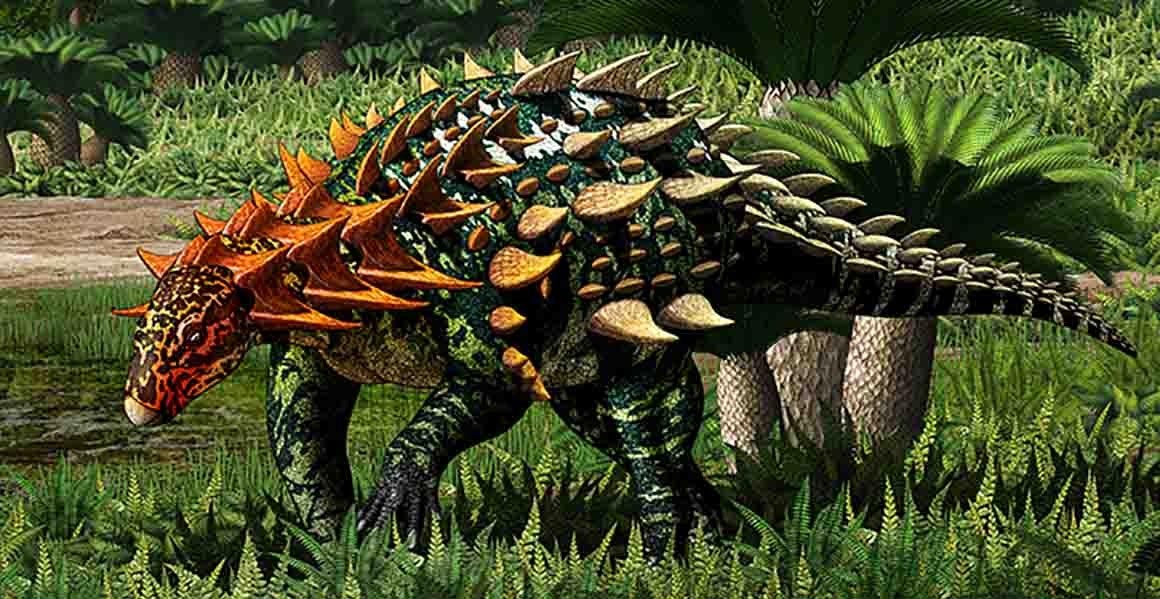 New Species of Armored Dinosaur Unearthed in China