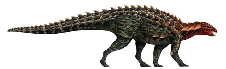 New Armored Dinosaur Asia