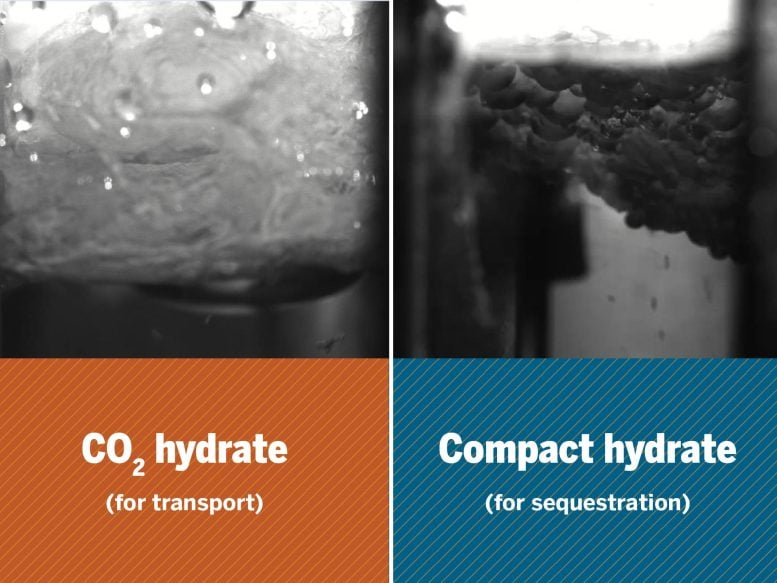 New Carbon Storage Hydrate Close Up