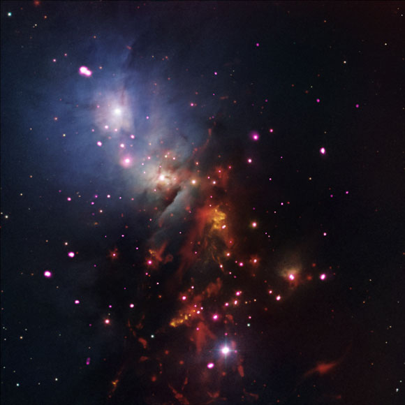 New Chandra Image of Star Cluster NGC 1333