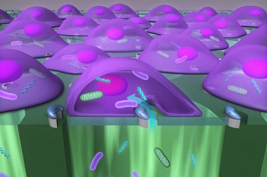 New Device Delivers Nanoparticles at the Rate of 100,000 Cells Per Minute