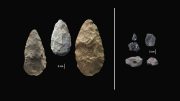 New Discovery Pushes Back Human Evolutionary Timeline