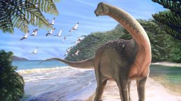 New Egyptian Dinosaur Discovered Mansourasaurus