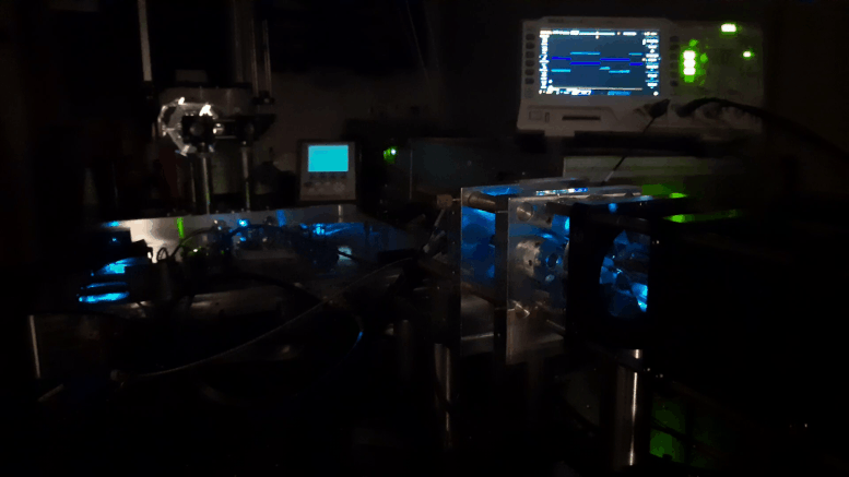 Nouvelle configuration du microscope à fluorescence
