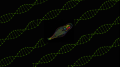 New Form of Genetic Modification