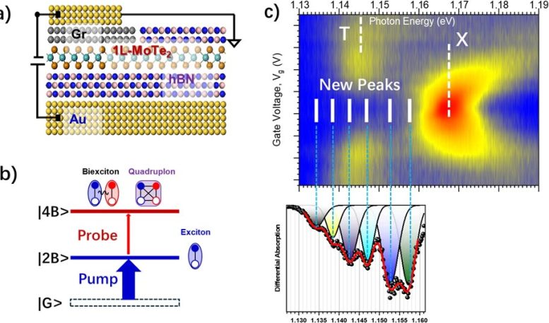 New Four Body Quasi Particle in 2D Semiconductors Graphical Abstract
