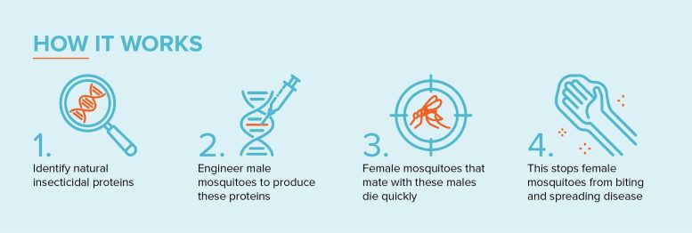 New Genetic Biocontrol Breakthrough