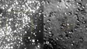 New Horizons Makes First Detection of Kuiper Belt Flyby Target