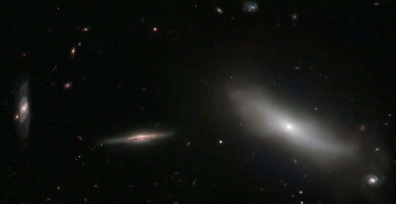 New Hubble Image Shows a Handful of Galaxies in the Constellation of Eridanus