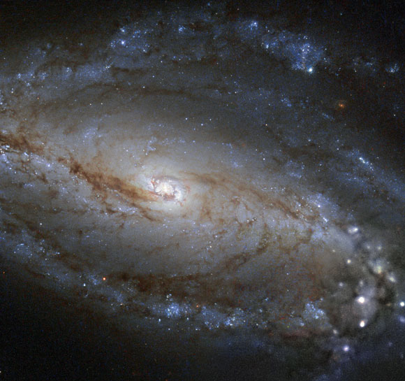 New Hubble Image of Barred Spiral Galaxy NGC 613