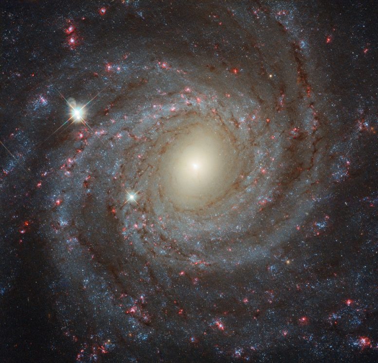 New Hubble Image of Galaxy NGC 3344