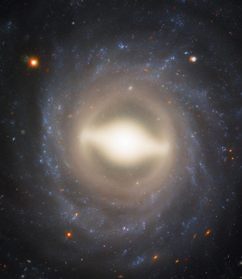 New Hubble Image of Majestic Galaxy NGC 1015